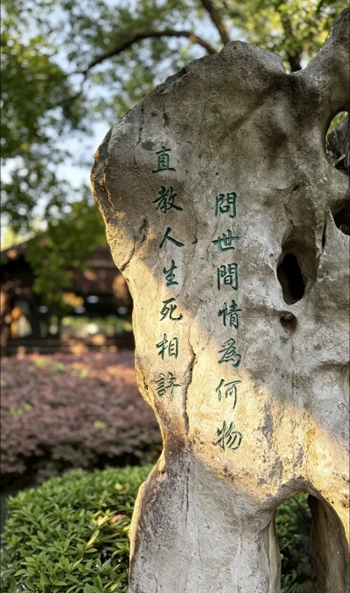 沈园石头