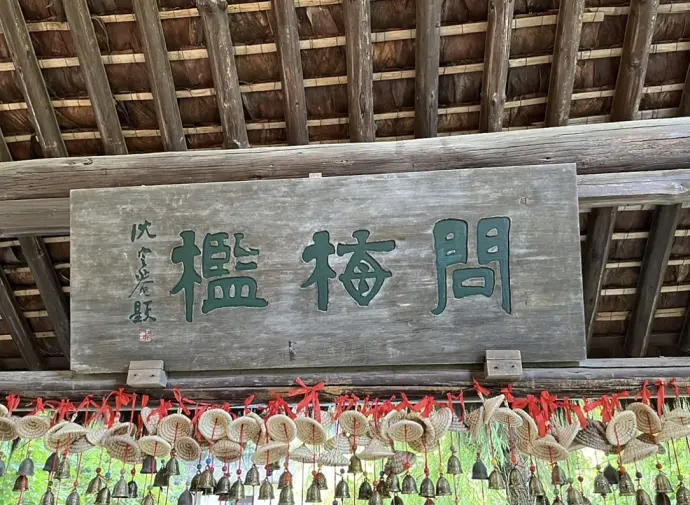 问梅