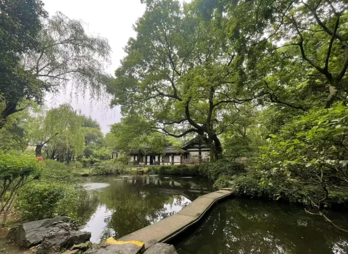 池塘