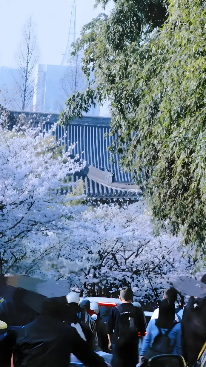 春季