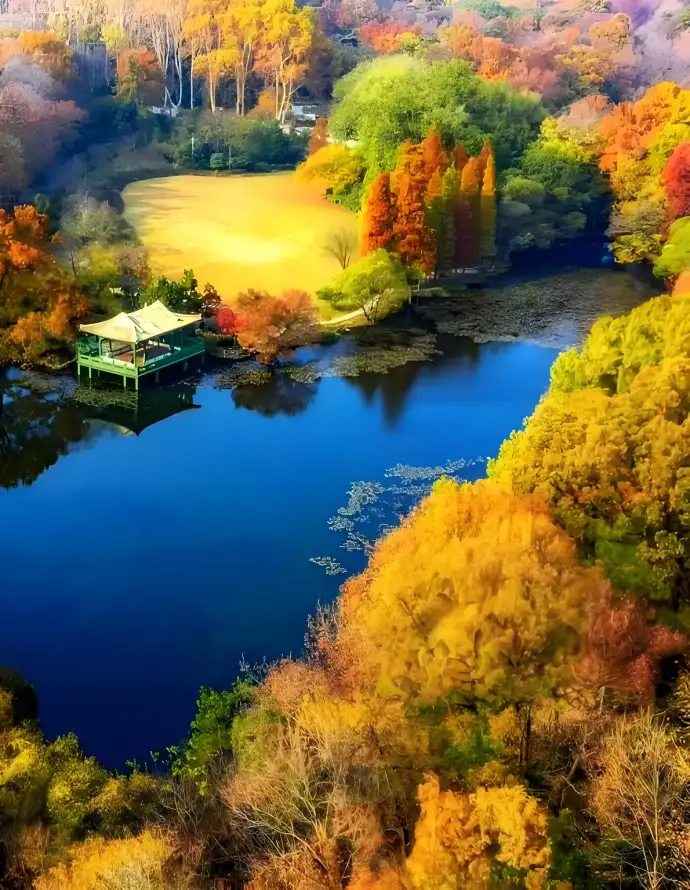 紫金山
