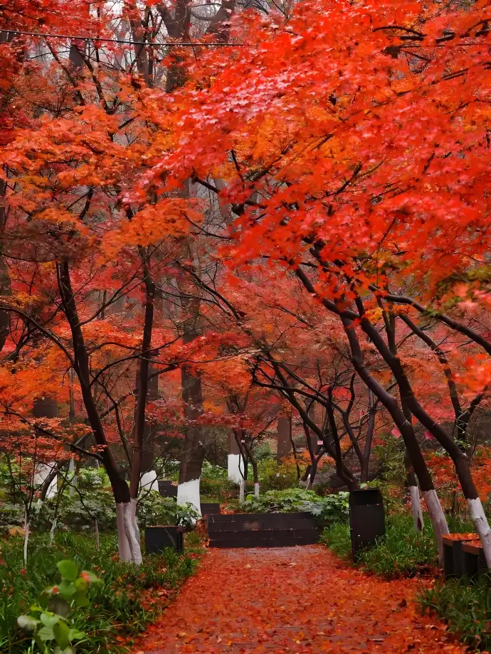 栖霞山