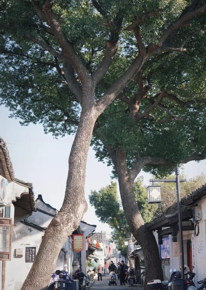 仓桥直街