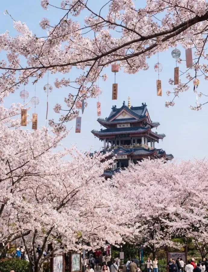 春日鼋头渚