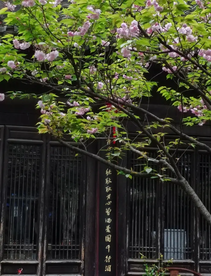 风光