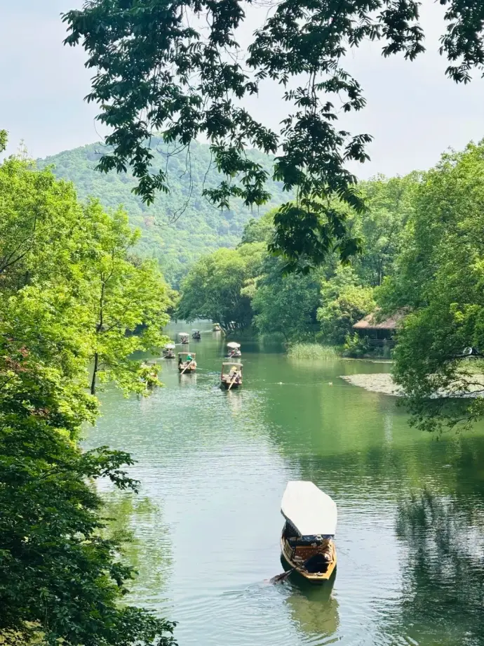 杨公堤