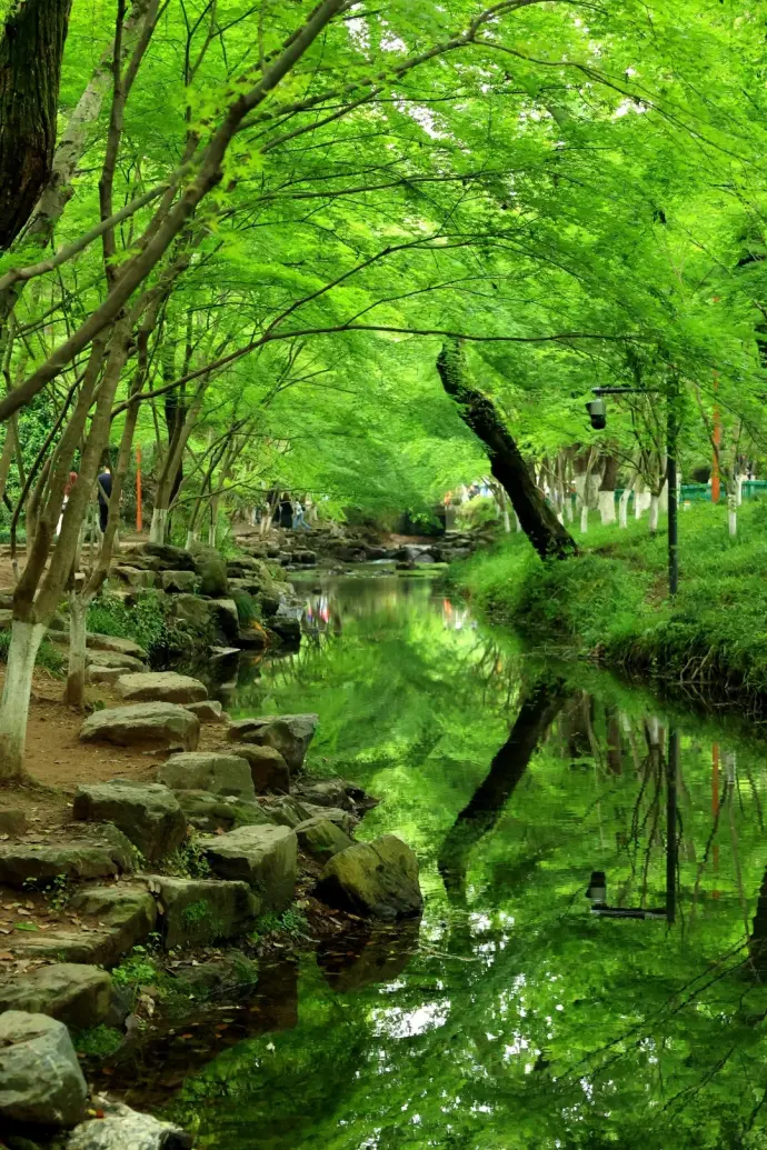 风景照