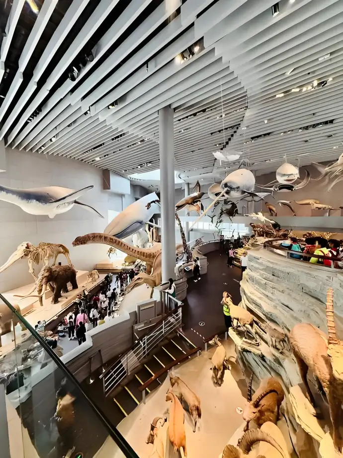 科学展区