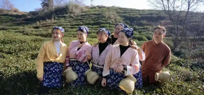 龙井村合照