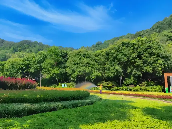 森林公园