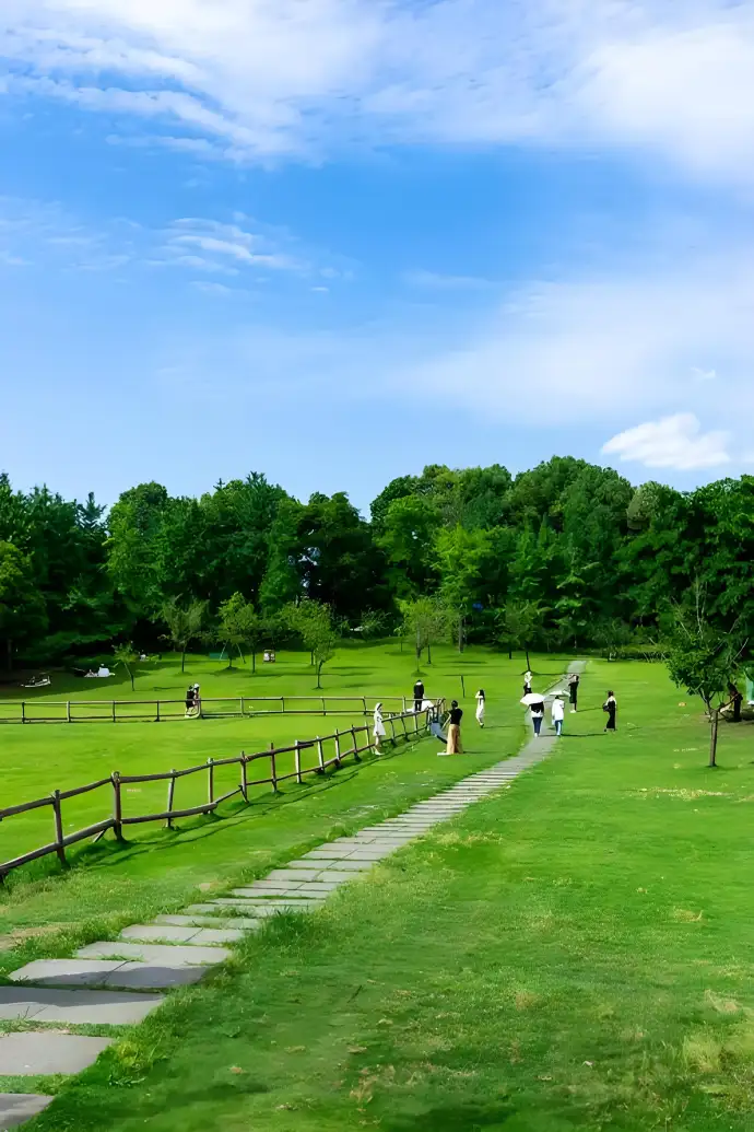 草坪