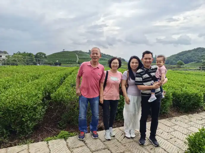 龙坞茶园