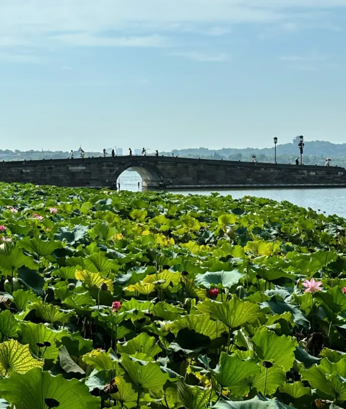 西湖